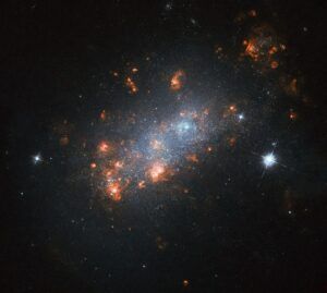 NGC1156